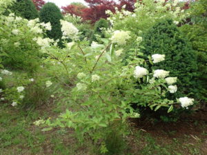 ミナヅキ　全体